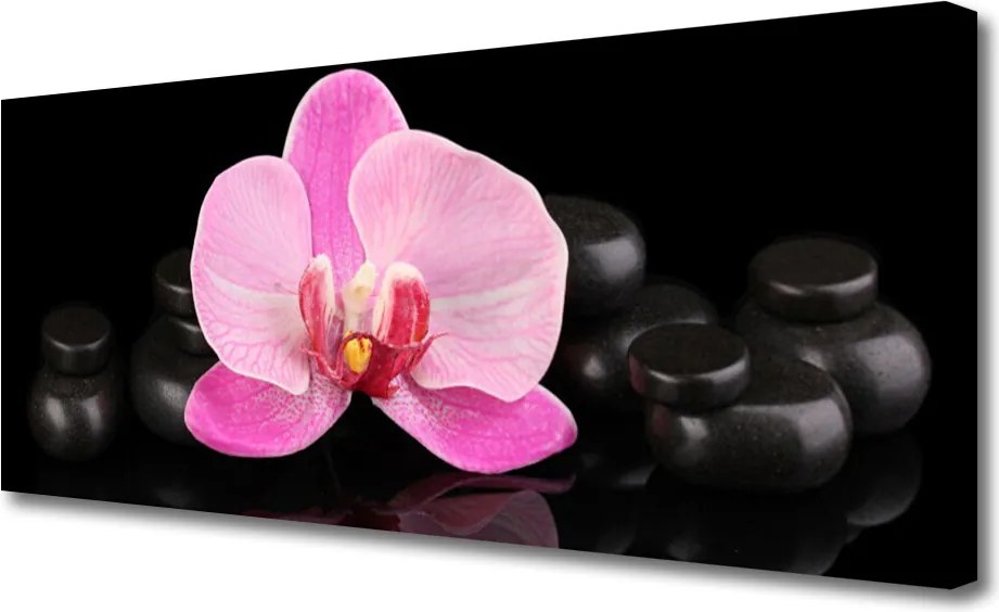 Obraz canvas Równowaga Natury: Kwiat i Kamień