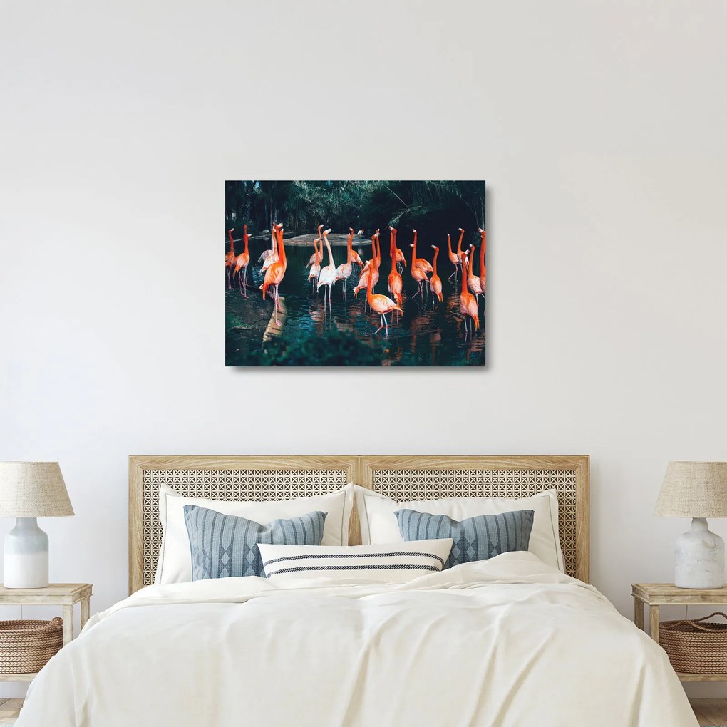 Obraz na szkle stada flamingów (70x50 cm)