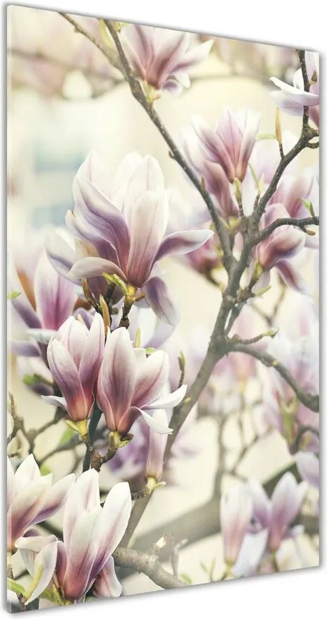 Obraz zdjęcie szkło akryl pionowy Magnolia
