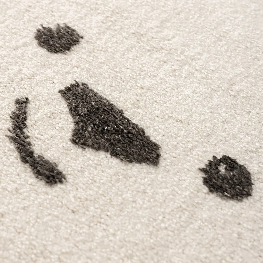 Dywan Teddy 120x170 cm