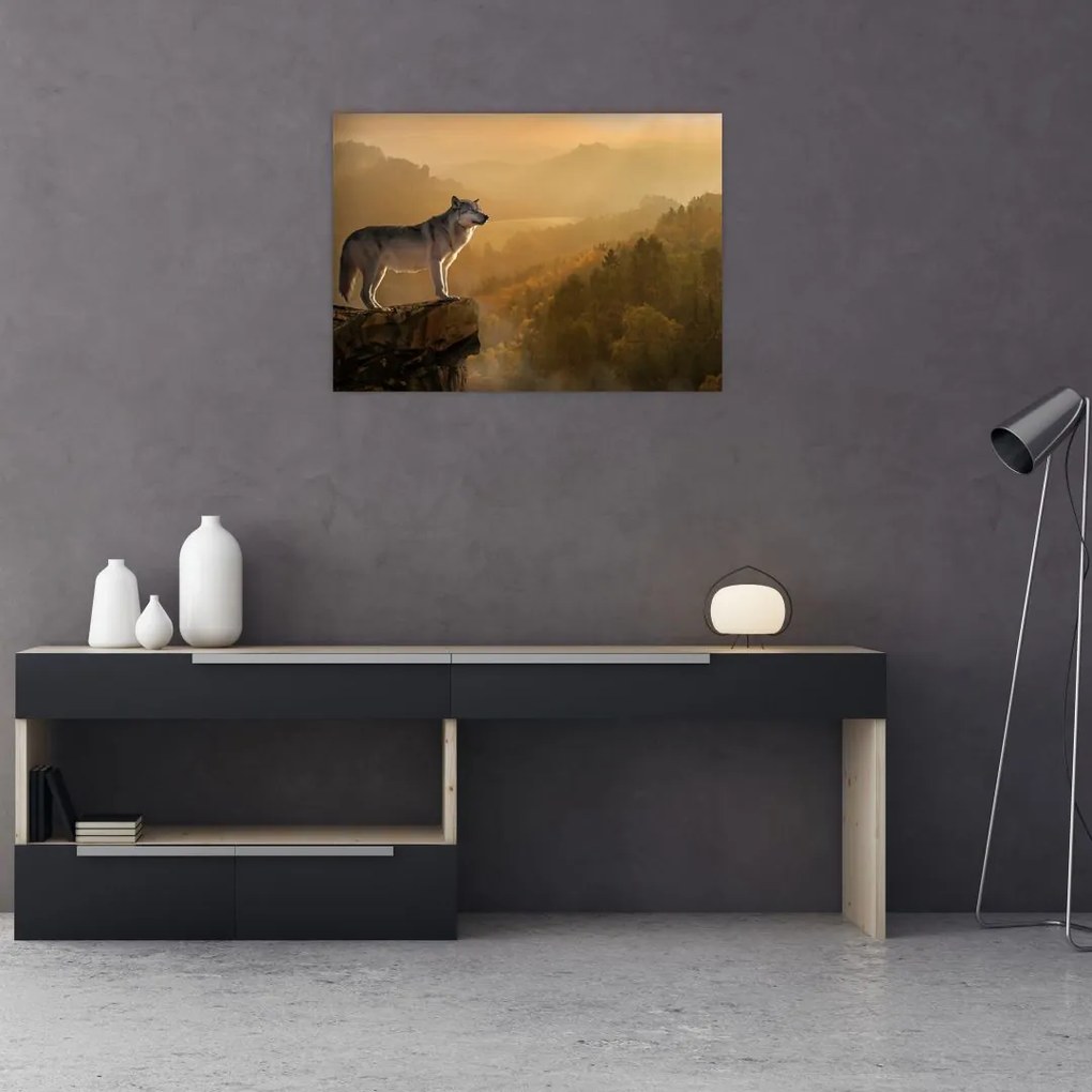 Obraz na szkle wilka na skale (70x50 cm)