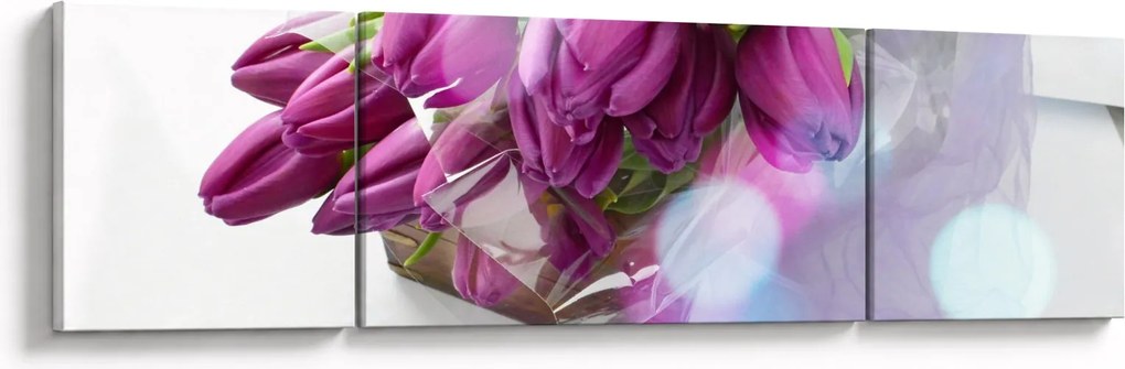Obraz - bukiet tulipanów (170x50 cm)