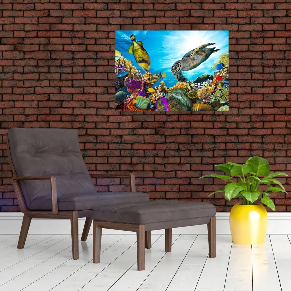 Obraz rafy koralowej (70x50 cm)