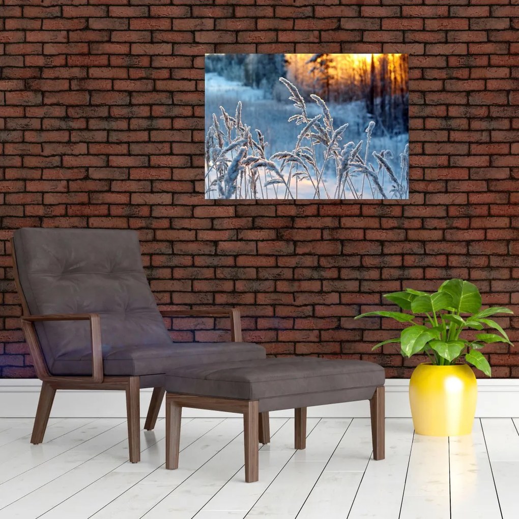 Obraz - Zimowa łąka (70x50 cm)