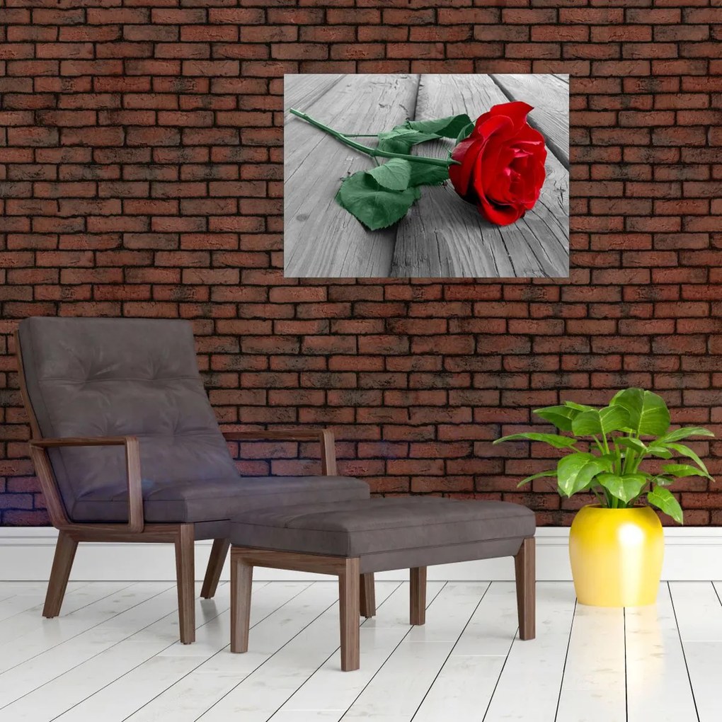 Obraz na szkle - Czerwona róża z zieloną łodygą (70x50 cm)