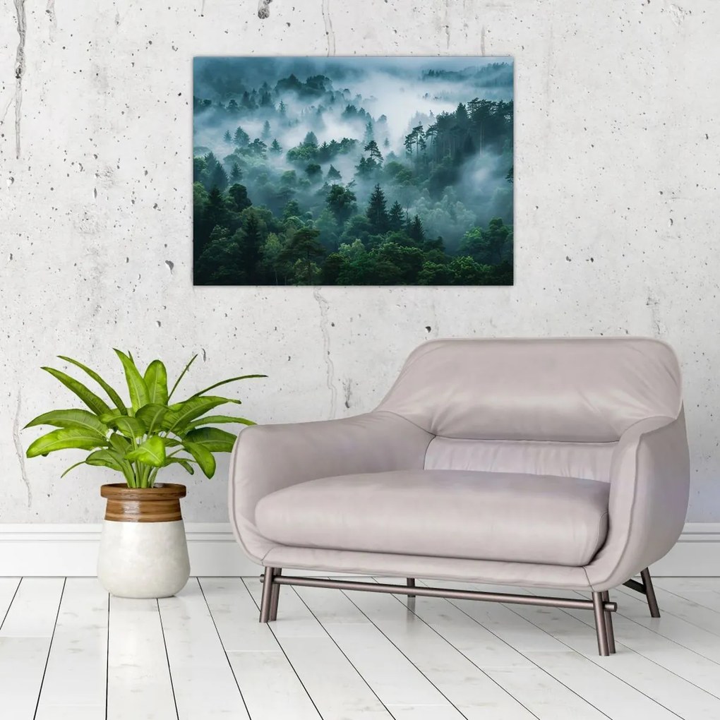 Obraz - Las we mgle (70x50 cm)