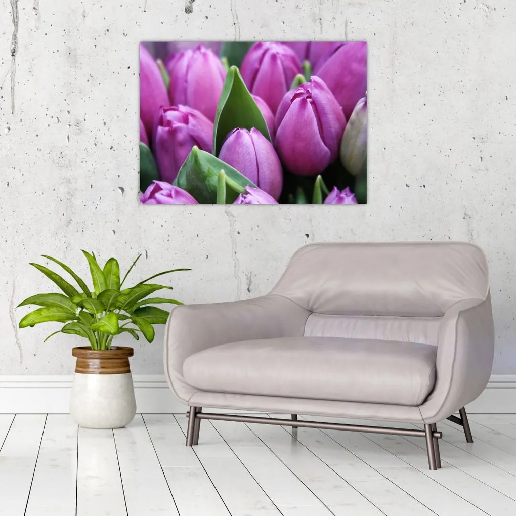Obraz - kwiaty tulipanów (70x50 cm)