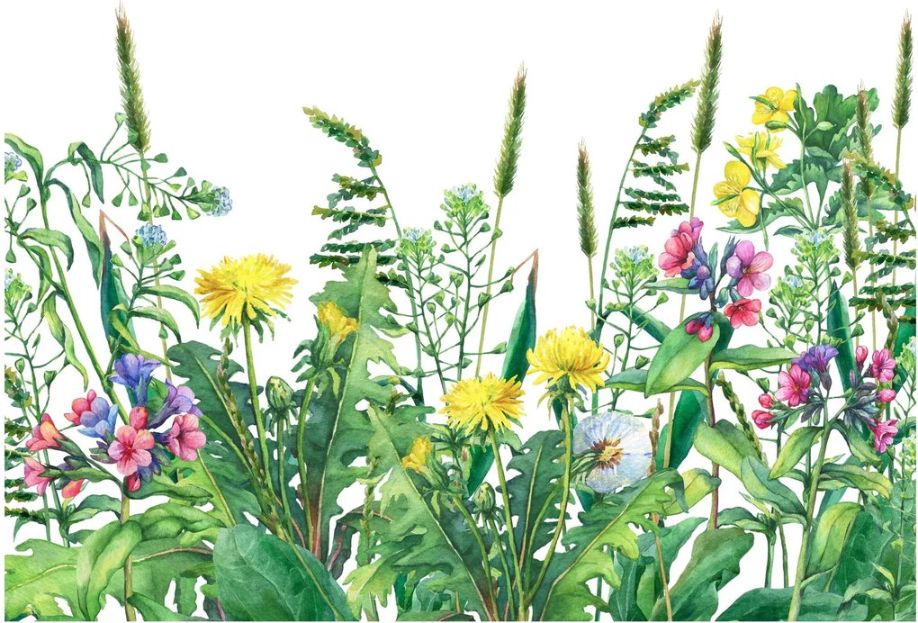 Obraz - Malowane kwiaty łąkowe (70x50 cm)