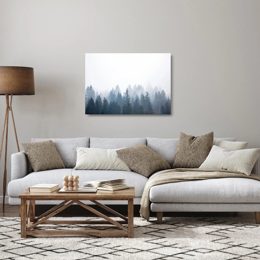 Obraz na szkle - Mglisty las (70x50 cm)