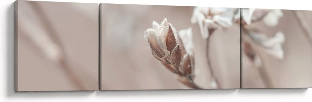 Obraz - Szczegół gałęzi (170x50 cm)