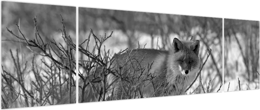 Obraz - Lis w zimie (170x50 cm)