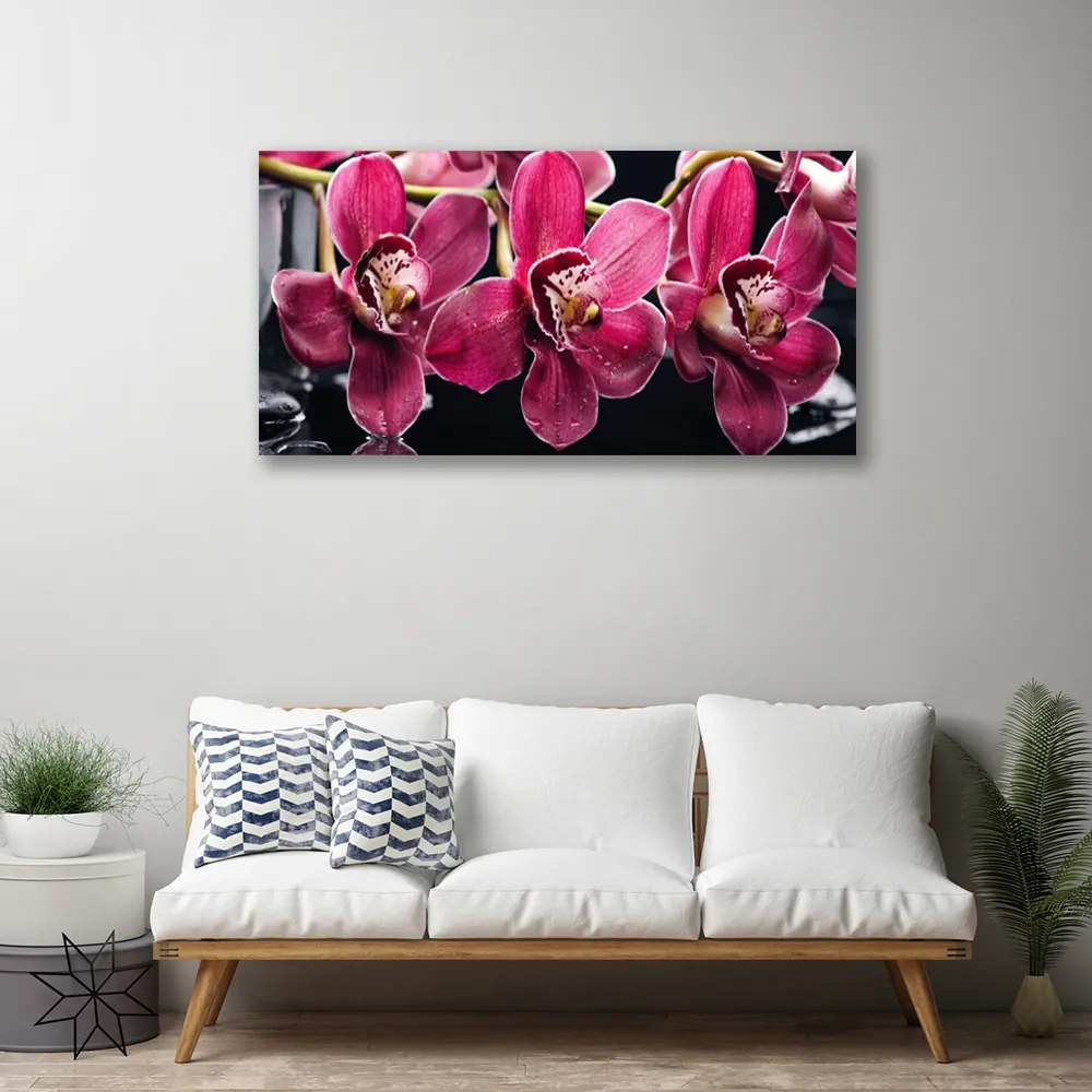 Obraz Canvas Kwiaty Orchidea Pędy Natura