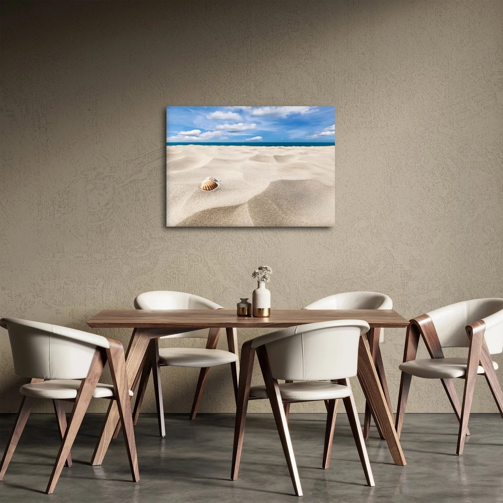Obraz - Muszle na plaży (70x50 cm)