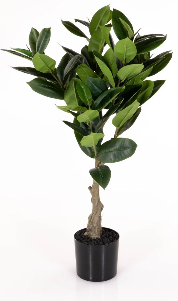 Sztuczna roślina drzewko kauczukowe, 69 cm