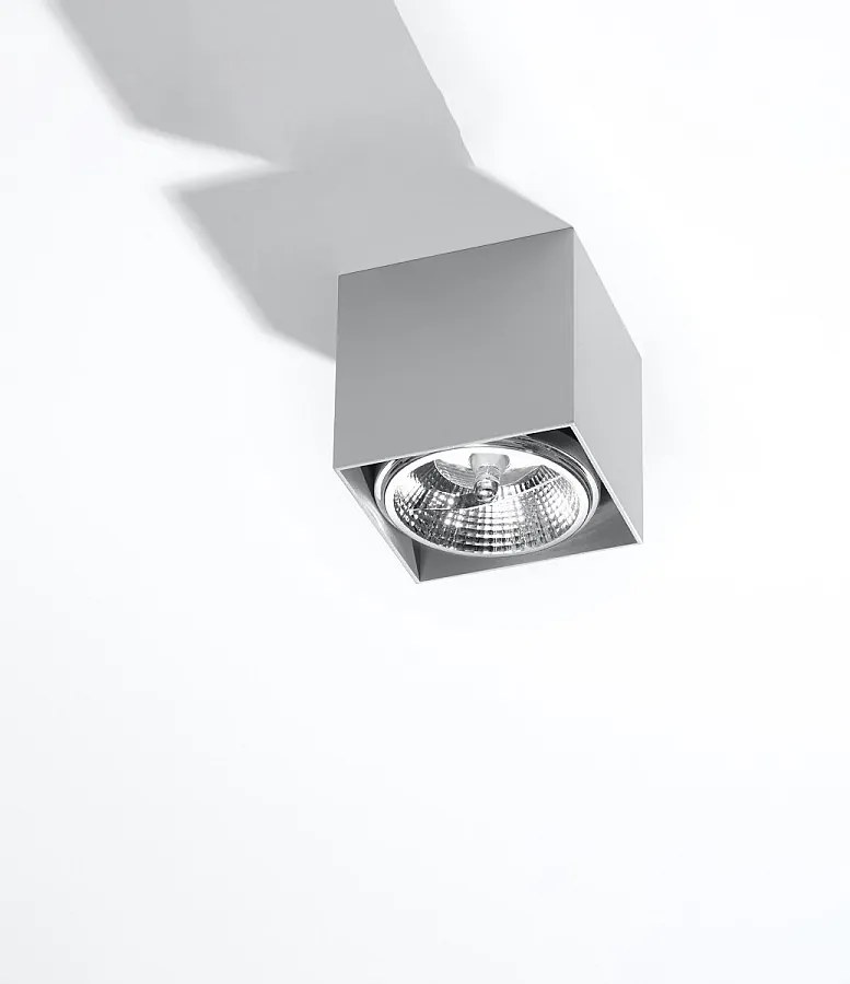 Plafony nowoczesny Nexiflex, aluminium - 1 źródło światła 4000K - L.12 x H.11 cm - szary