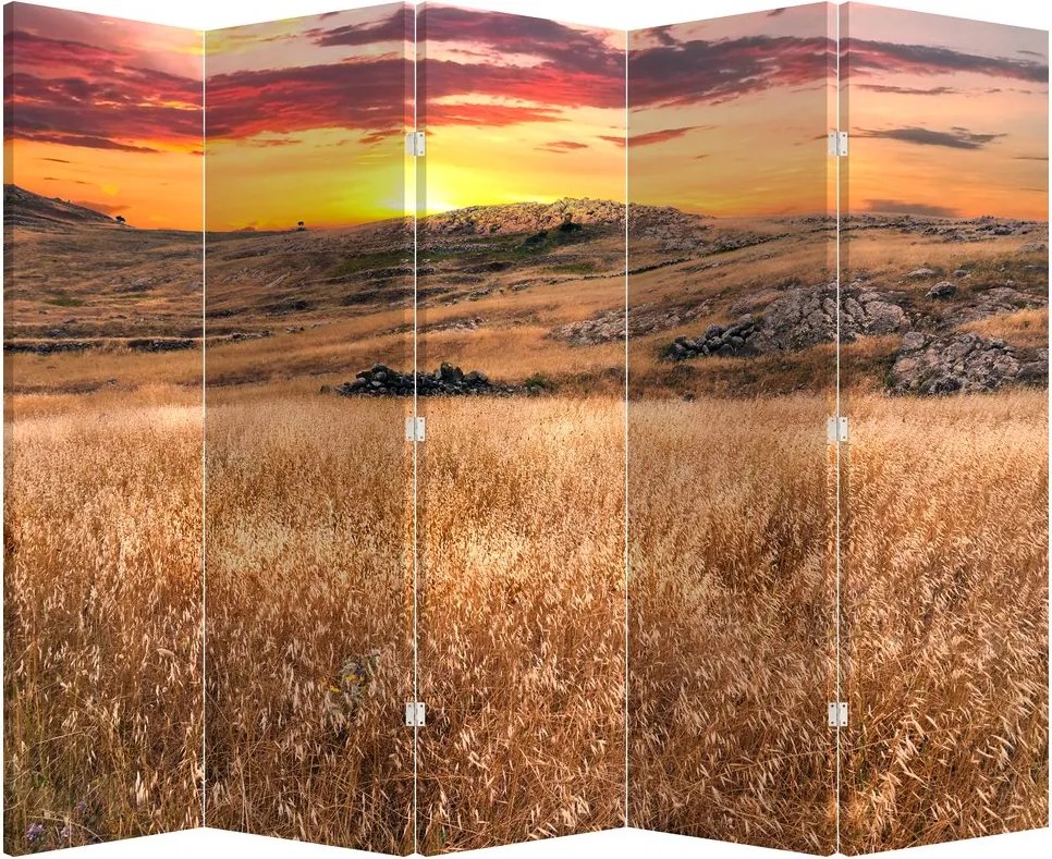 Parawan - Pole (210x170 cm)