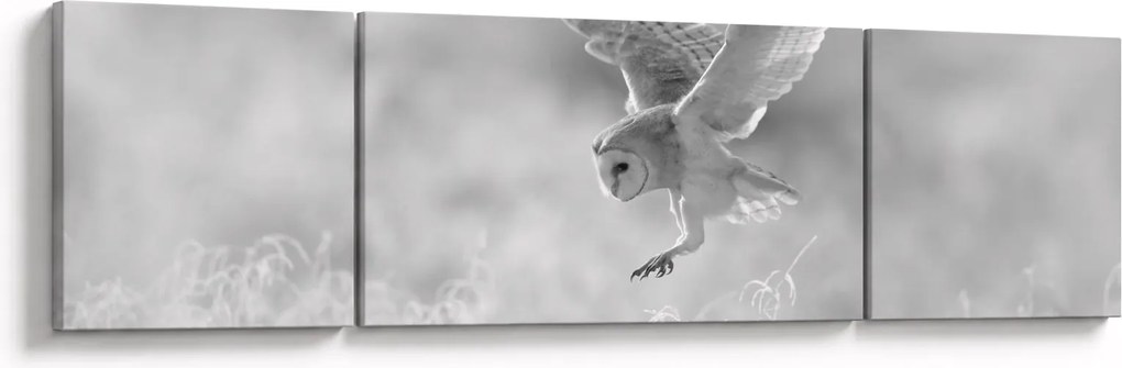 Obraz - Sowa na polu (170x50 cm)