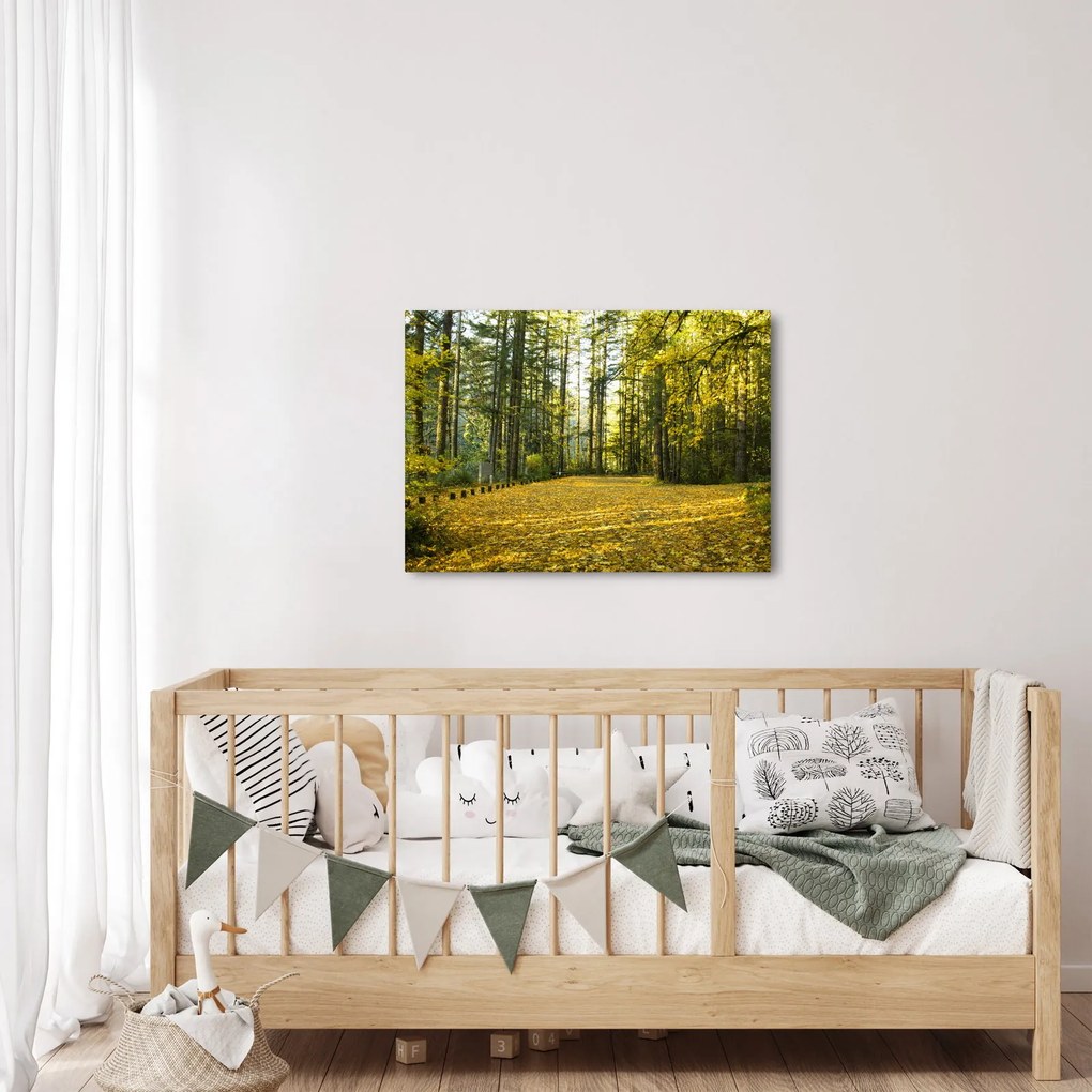 Obraz - las jesienią (70x50 cm)
