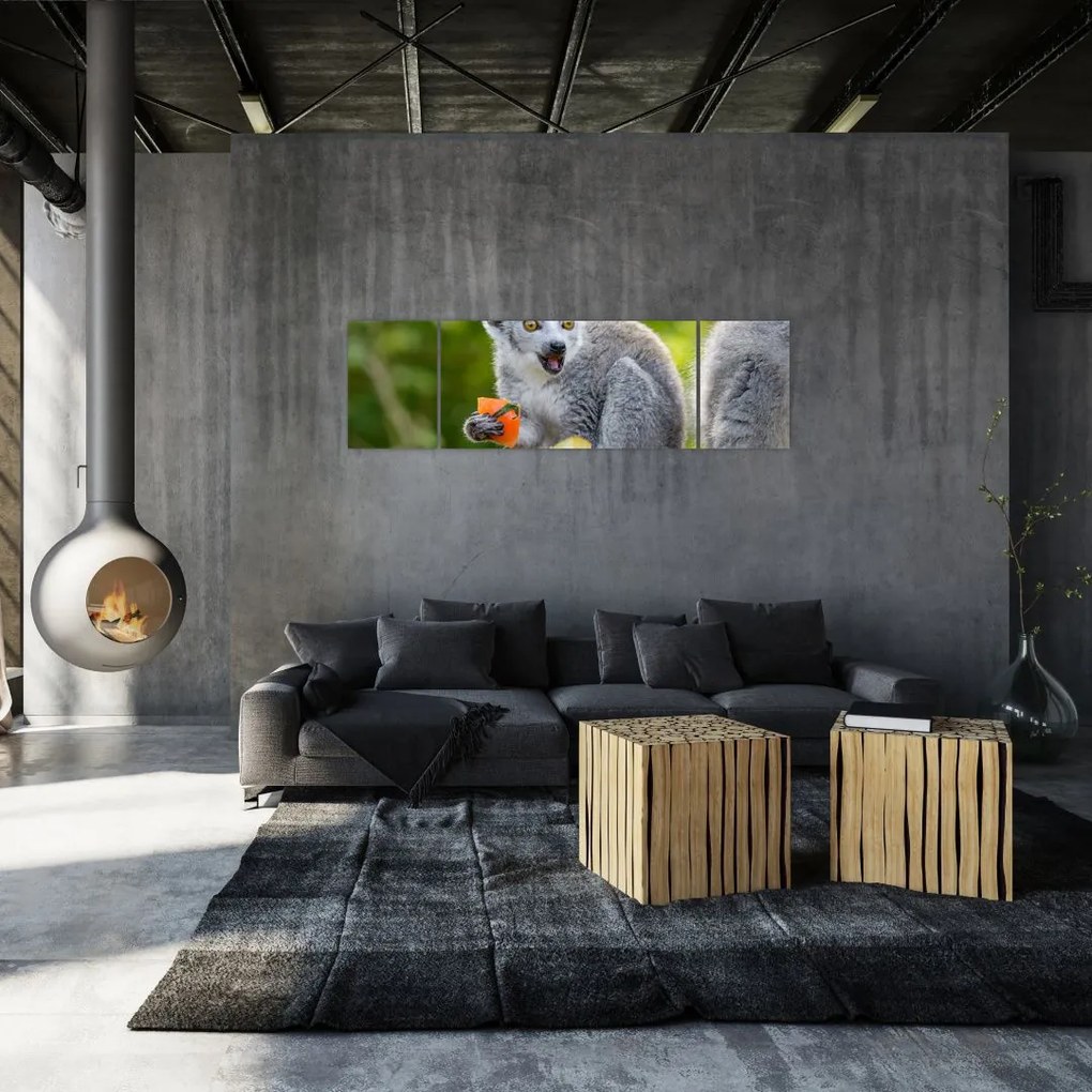 Obraz lemura (170x50 cm)