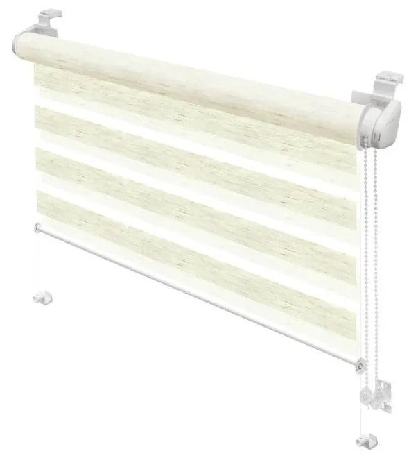 Roleta dzień i noc w naturalnym kolorze 97x150 cm Zebra Silvalin – Gardinia
