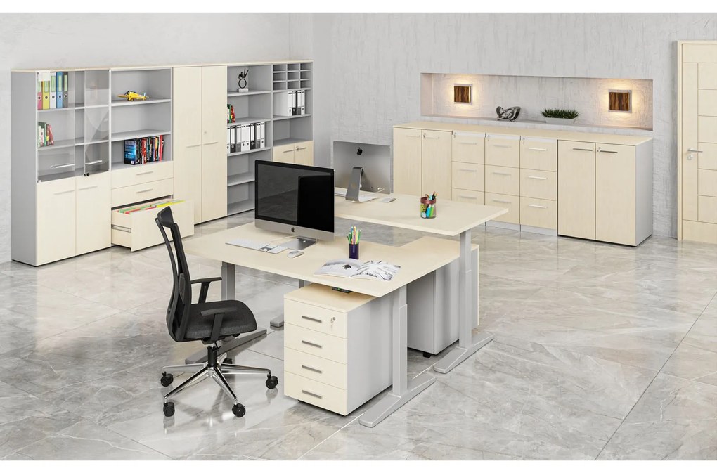 Szafa biurowa z drzwiami PRIMO GRAY, 800 x 420 x 1087 mm, szary/brzoza
