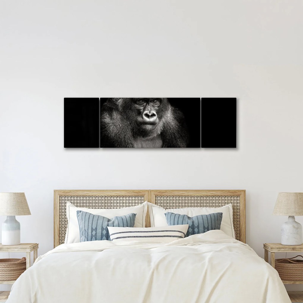 Obraz - Goryl (170x50 cm)