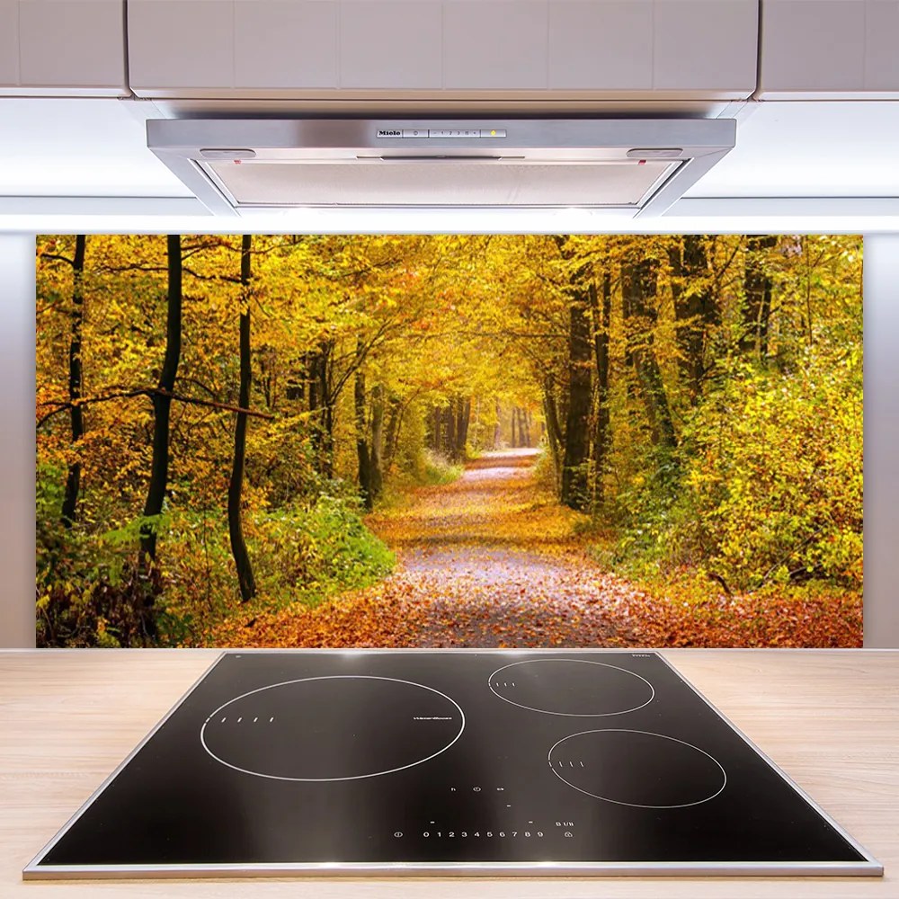 Panel Szklany Spacer Przez Słoneczny Las