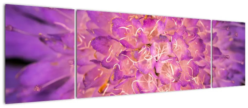 Szczegółowy obraz kwiatu (170x50 cm)
