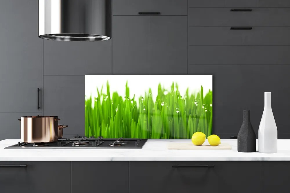 Panel Kuchenny Soczysta Zieleń Polany