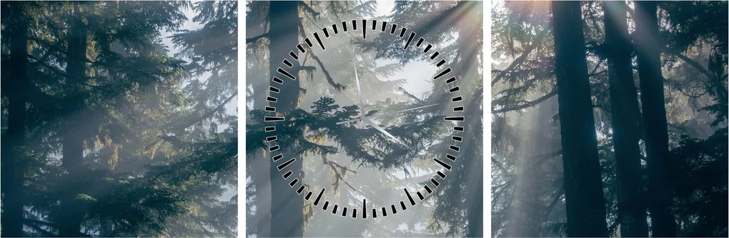 Obraz drzew, przez które prześwieca słońce (z zegarem) (90x30 cm)