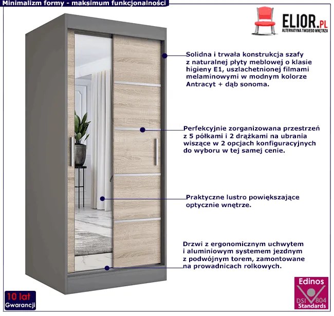 Szafa przesuwna w kolorze antracyt + dąb sonoma - Ebia 2X
