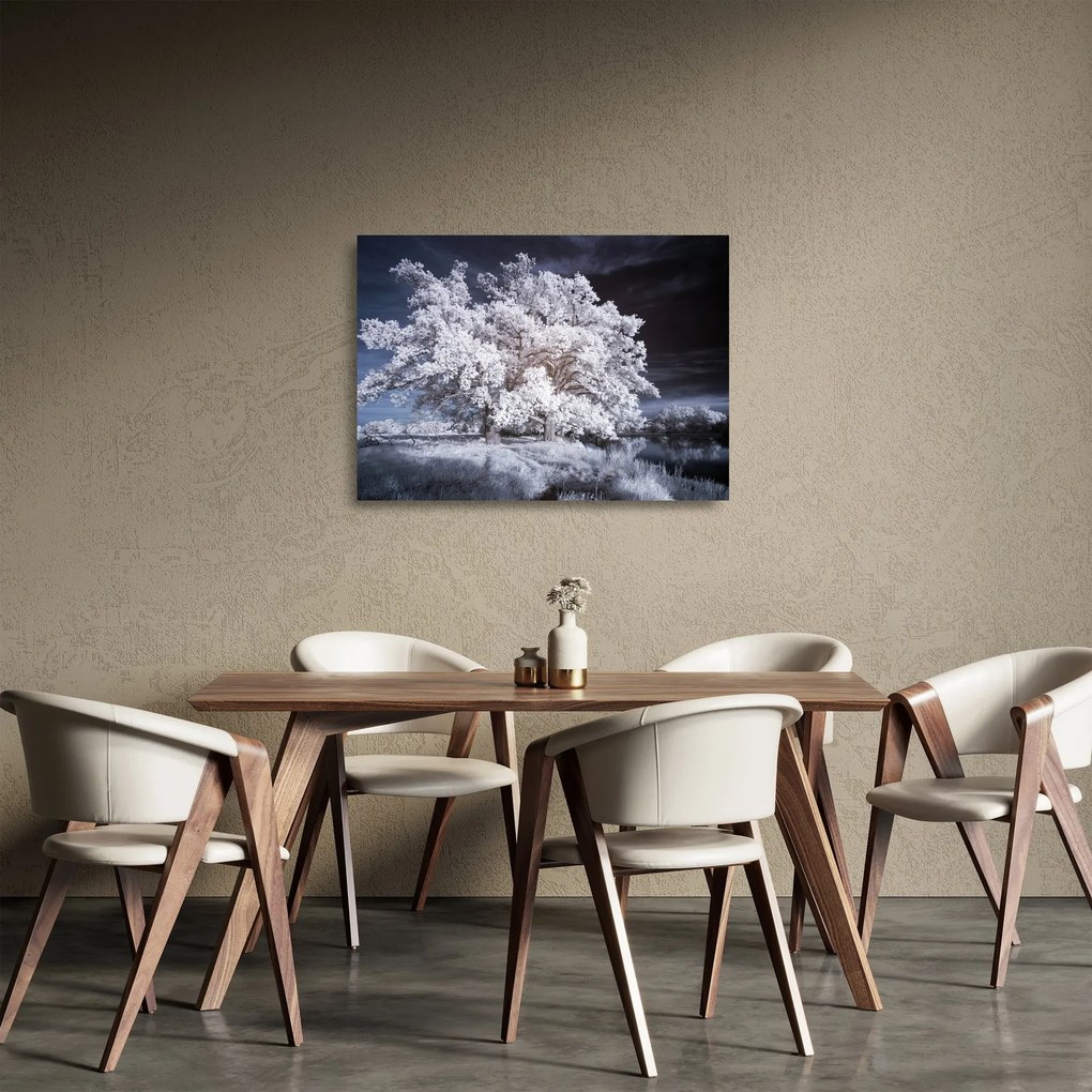 Obraz na szkle - Śnieżnobiałe drzewo (70x50 cm)