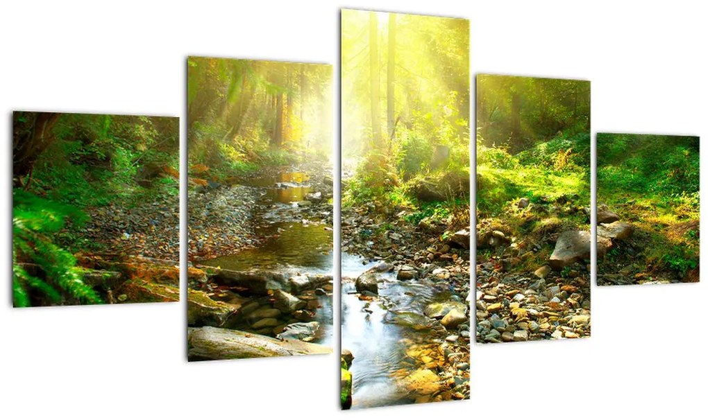 Obraz rzeki w zielonym lesie (125x70 cm)
