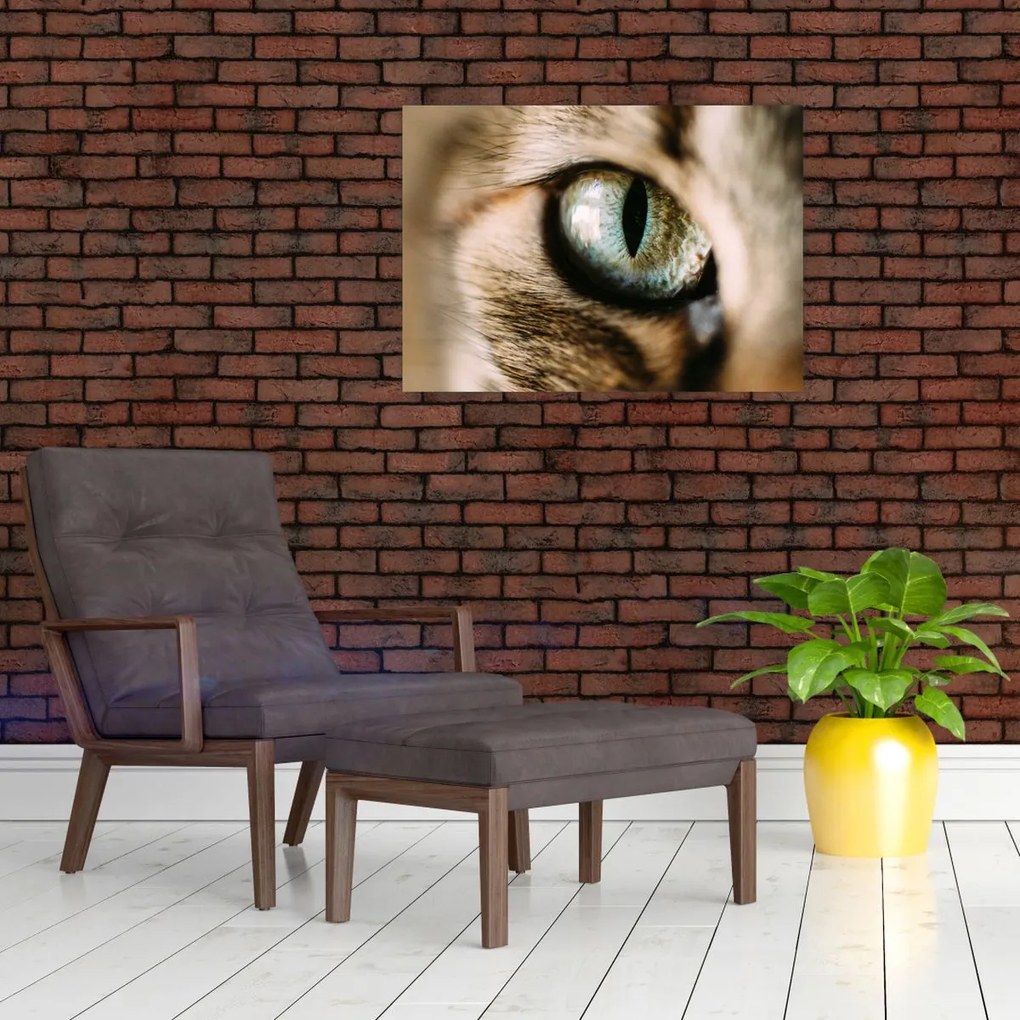 Obraz na szkle - Kocie oko (70x50 cm)
