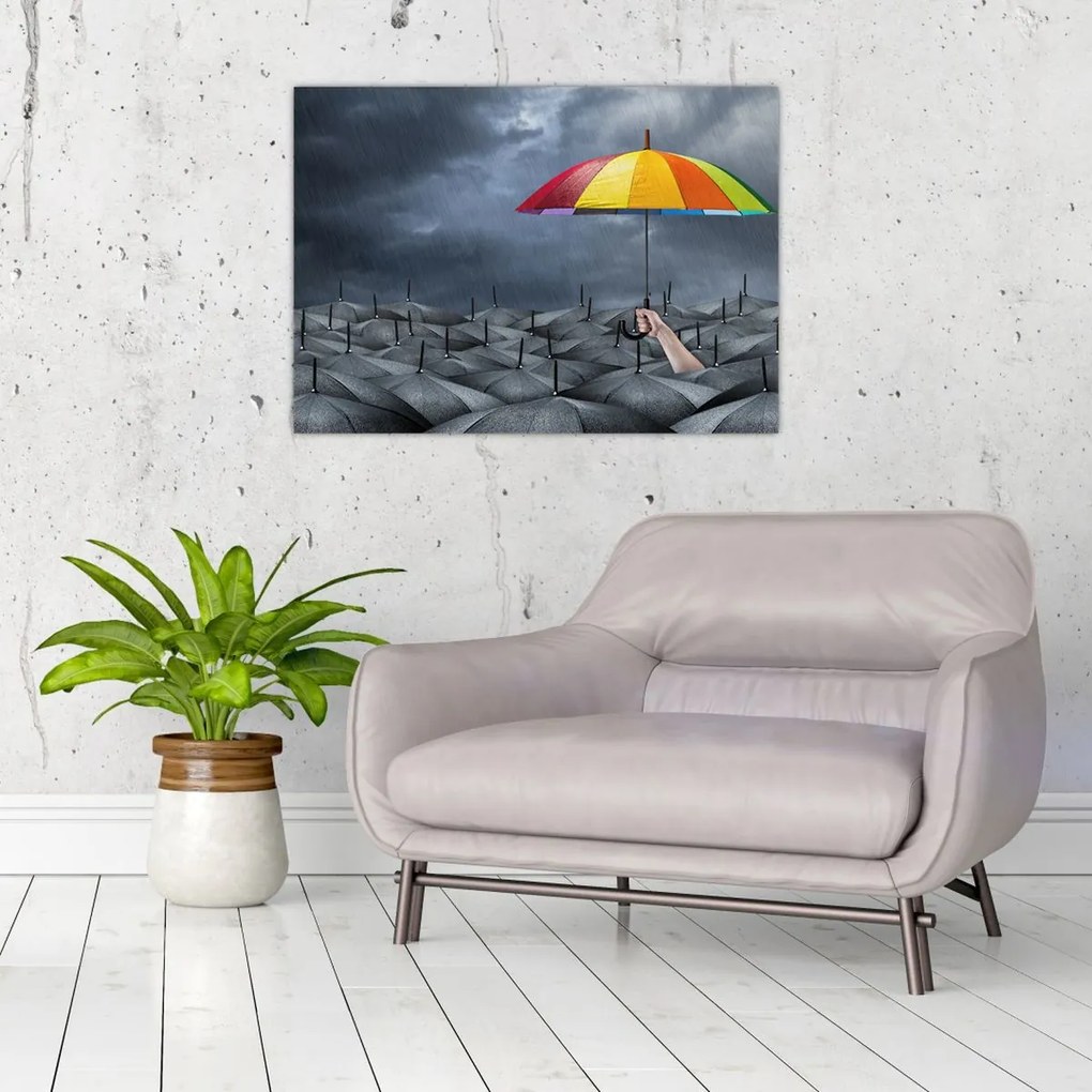 Obraz - Parasole (70x50 cm)