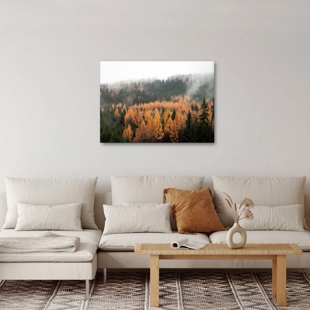 Obraz - Jesienny las (70x50 cm)