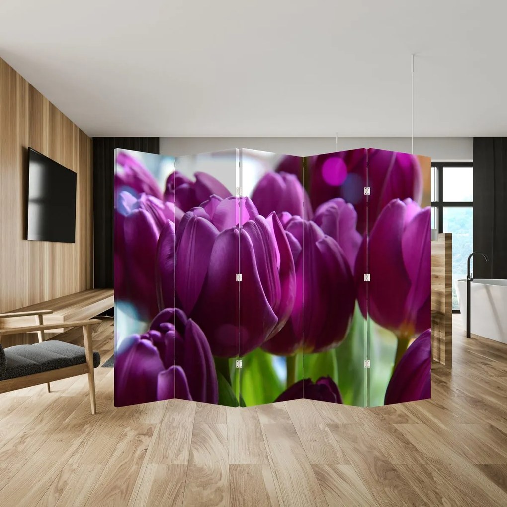 Parawan - Tulipany (210x170 cm)