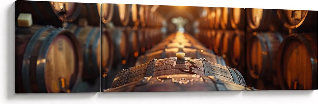 Obraz - Piwniczka na wino (170x50 cm)