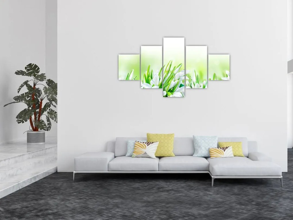 Obraz - Przebiśniegi (125x70 cm)