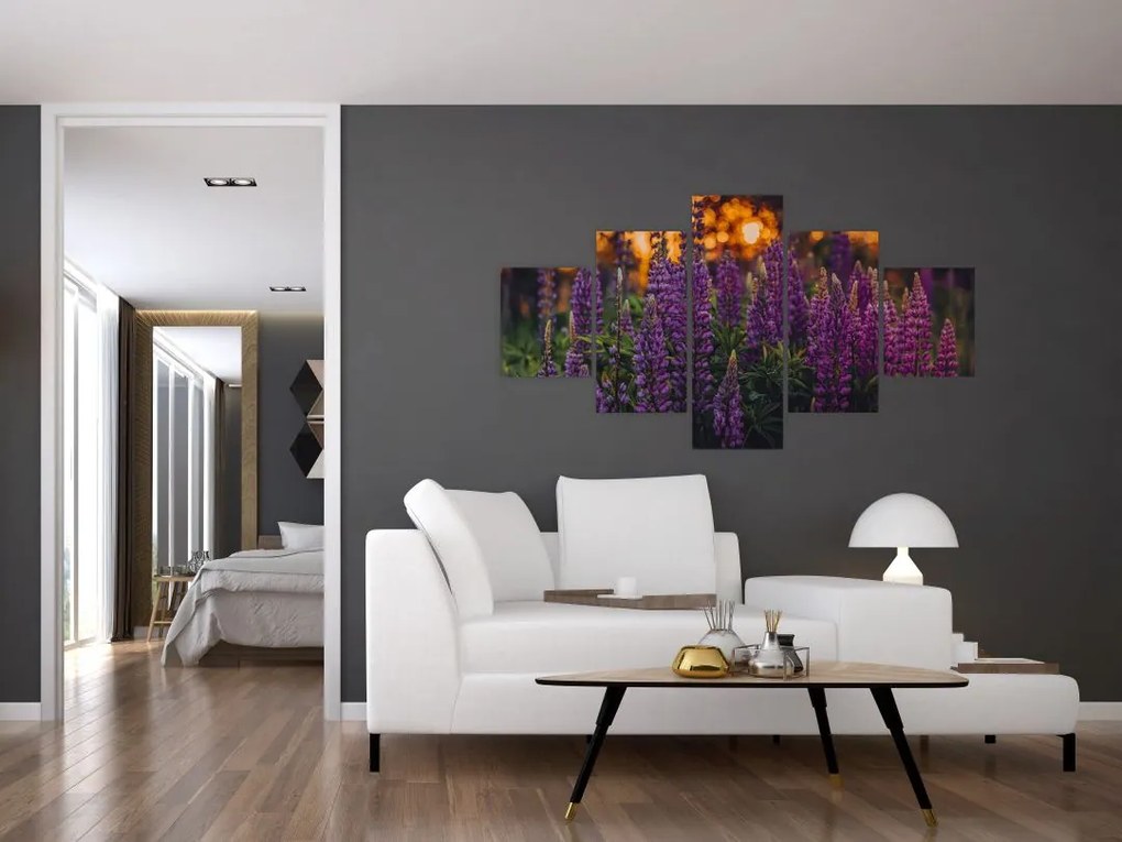 Obraz kwiatów łubinu (125x70 cm)