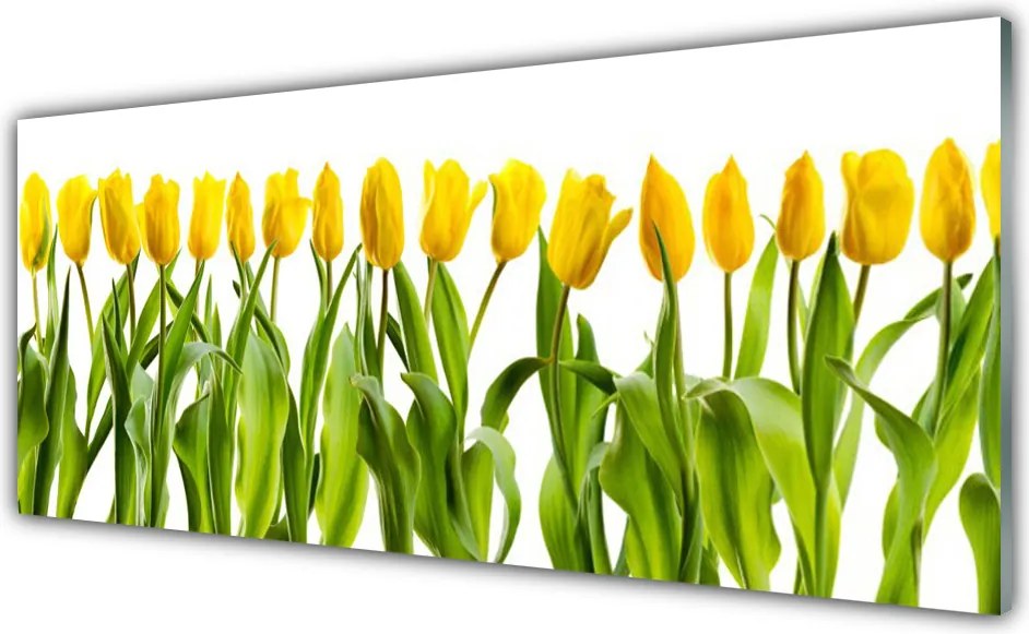 Szkło do Kuchni na Ścianę Tęczowy Dywan Tulipanów