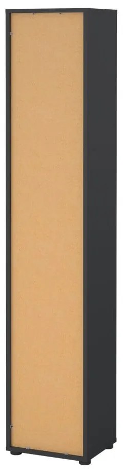 Antracytowo-naturalny regał w dekorze dębu 41x205 cm Sign – Tvilum