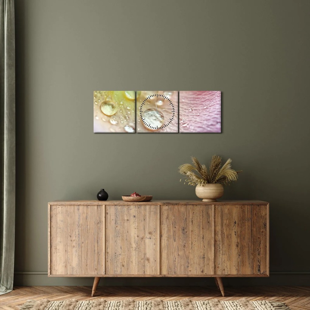 Obraz - Krople rosy (z zegarem) (90x30 cm)