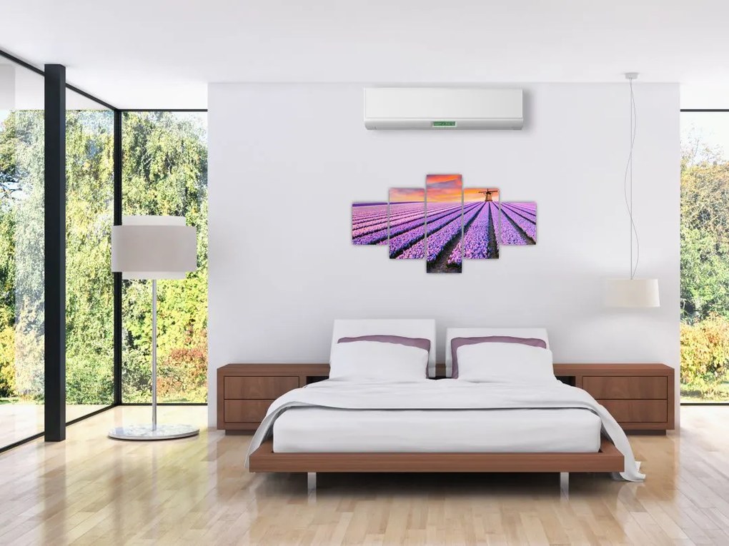 Obraz - farma kwiatów (125x70 cm)