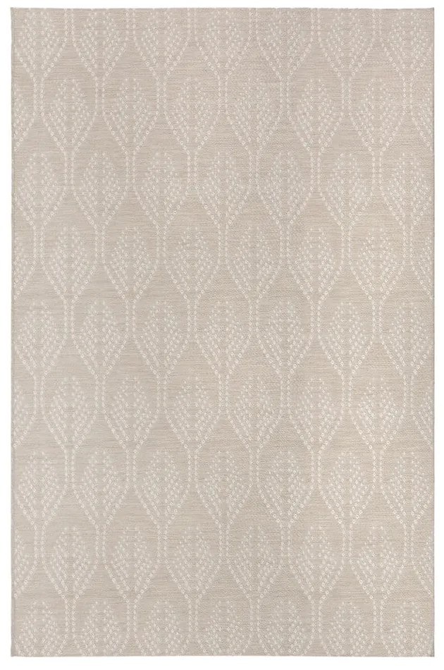 Beżowy dywan zewnętrzny Flair Rugs Seed, 160x230 cm