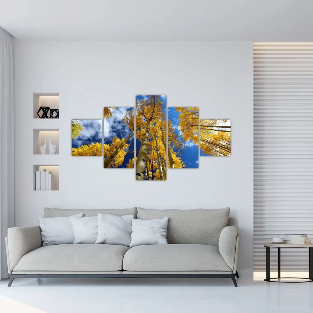 Obraz - Aspen (125x70 cm)