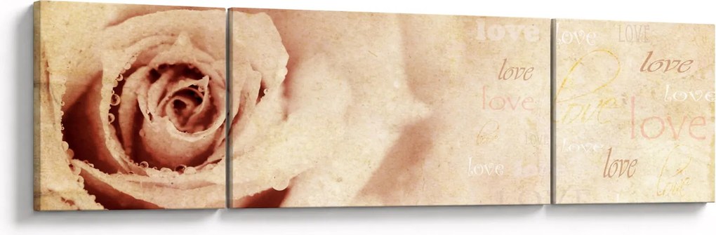 Obraz - Kwiat róży dla zakochanych (170x50 cm)