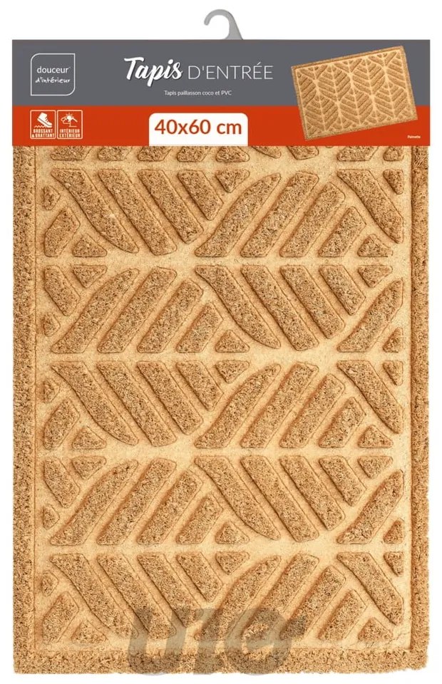 Wycieraczka z włókna kokosowego 40x60 cm Palmette – douceur d'intérieur
