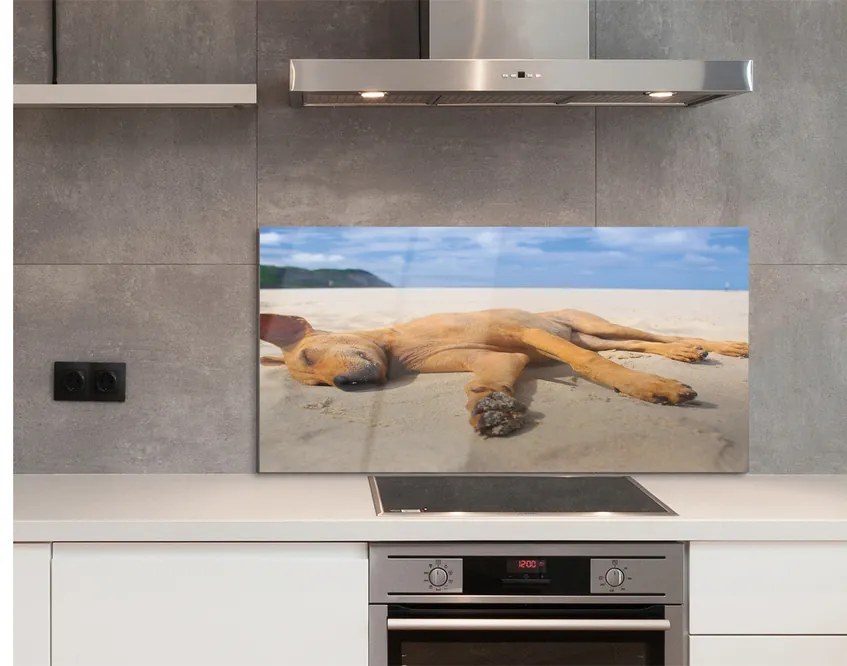 Szklany Panel Leżący pies plaża