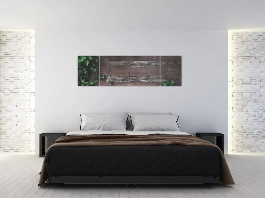 Obraz - Bluszcz (170x50 cm)